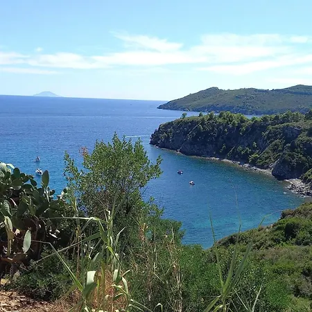 In Mit Schoenem Garten Apartamento Capoliveri (Isola d'Elba)