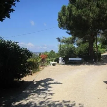 Apartment In Mit Schoenem Garten