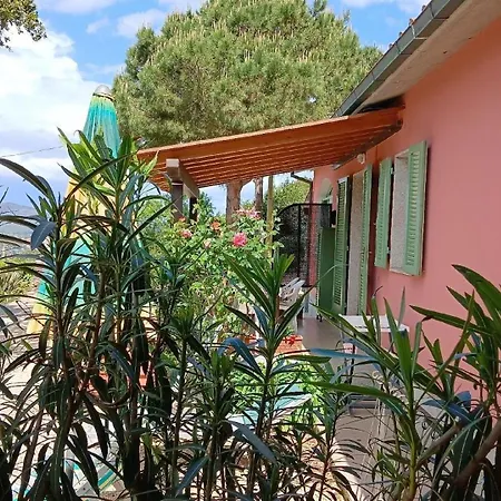 Apartment In Mit Schoenem Garten *