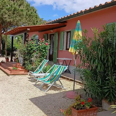 Apartment In Mit Schoenem Garten