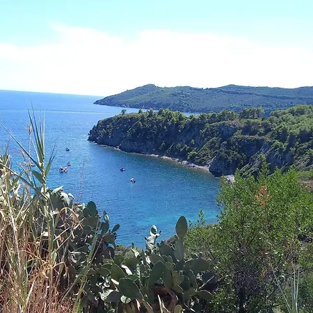 In Mit Schoenem Garten Capoliveri (Isola d'Elba)