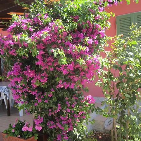 In Mit Schoenem Garten Apartment Capoliveri (Isola d'Elba)