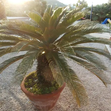 Apartment In Mit Schoenem Garten Capoliveri (Isola d'Elba)