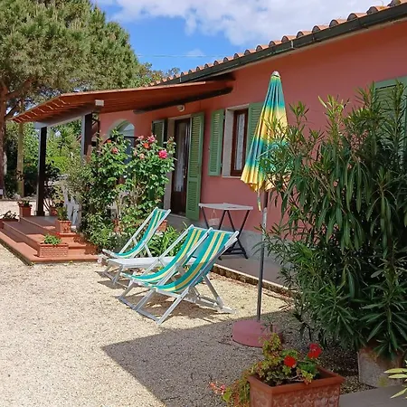 Apartment In Mit Schoenem Garten